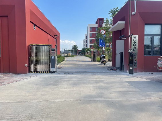 ͬ������������Сѧ